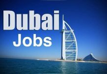 Credit Officer/ Manager & Risk Officer/Manager- Jobs in Dubai Administrative assistant Job Dubai Credit Officer/ Manager & Risk Officer/Manager