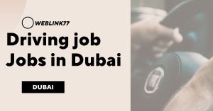 Safari Driver, Warehouse Helper Job in Dubai 2023 Valet Parking driver