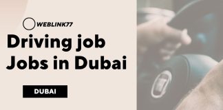 Safari Driver, Warehouse Helper Job in Dubai 2023 Valet Parking