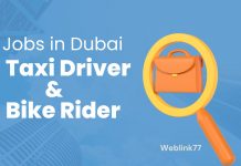 Dubai Taxi Driver Bike Rider Jobs - Walk in Interview