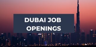 IT, Housekeeping, Engineering, Hotel, Sales and Marketing Jobs - Dubai 2023 Job Opportunity:  Soft Play Area Manager! Walk in Interviews Dubai 10+ Job positions